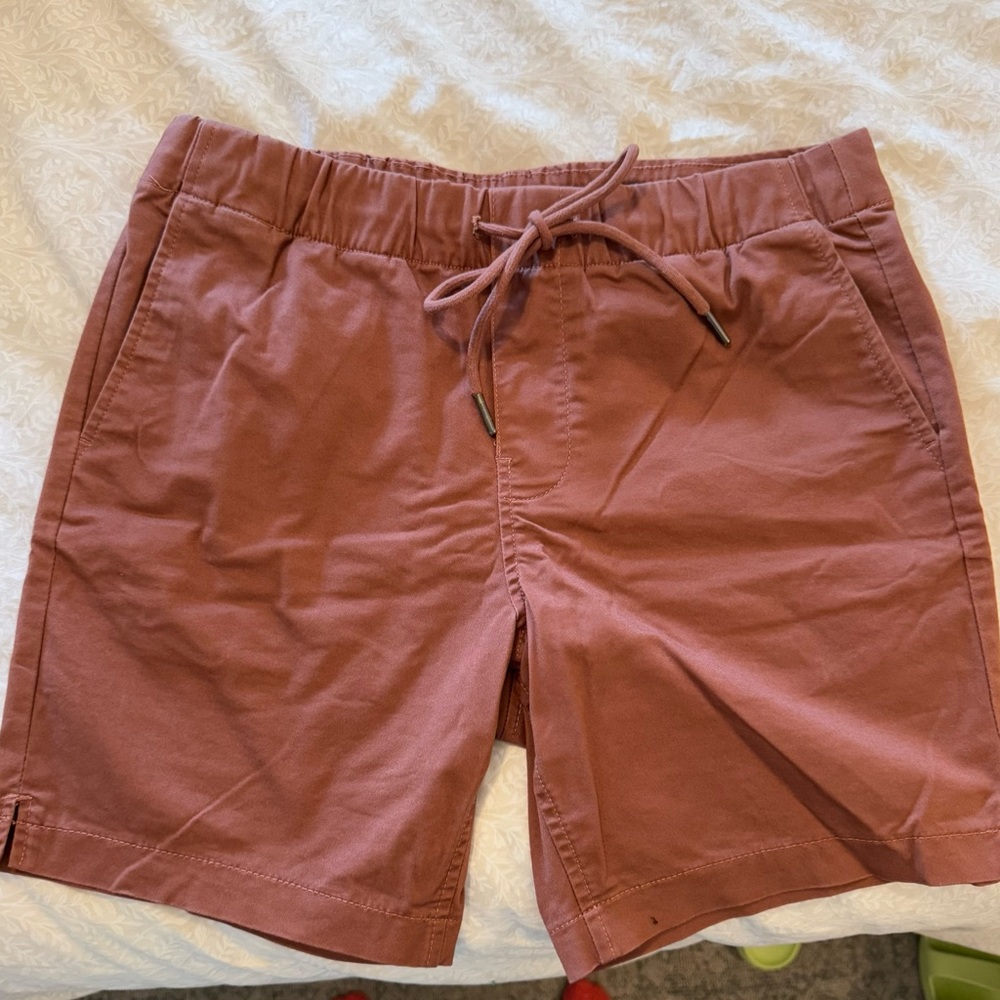 Express Men's Rust Flat Front Shorts